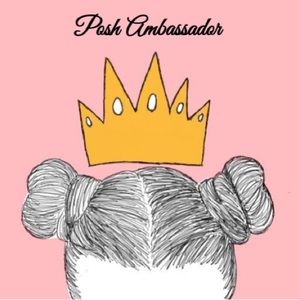 POSH AMBASSADOR